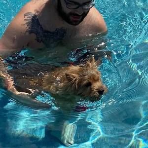 Meet your Posher, Tyler